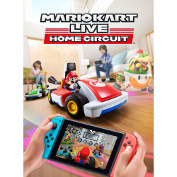 Mario Kart Live Home Circuit Mario Luigi