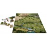 Caylus 1303 Caylus 1303
