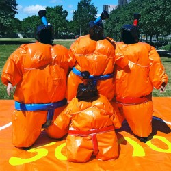 Jeu sumo Adulte