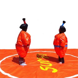 Jeu de sumo Adulte